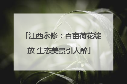江西永修：百亩荷花绽放 生态美景引人醉